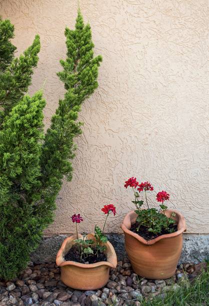 Dá para acreditar que este casal recebeu a casa no esqueleto e terminou tudo sozinho? Eles fizeram armários, forno de pizza, poltrona, degraus da escada... Ainda instalaram forro de gesso, plantaram o jardim e costuraram o edredom.