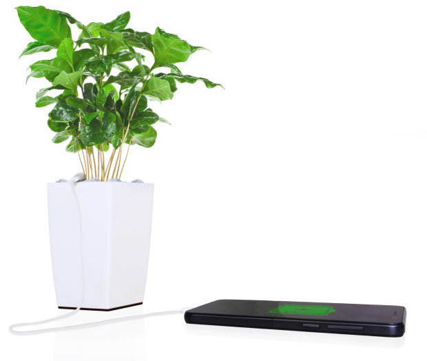01-este-vaso-carrega-o-seu-celular-com-energia-gerada-pelas-plantas 01-este-vaso-carrega-o-seu-celular-com-energia-gerada-pelas-plantas