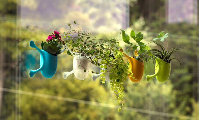 01-este-vaso-gruda-em-janelas-e-pode-virar-um-jardinzinho-portatil