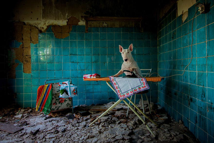 01-fotografa-retrata-sua-cadela-em-predios-abandonados-da-europa