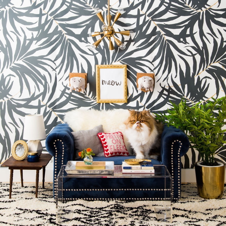 O cantinho deste gato reproduz várias tendências de décor