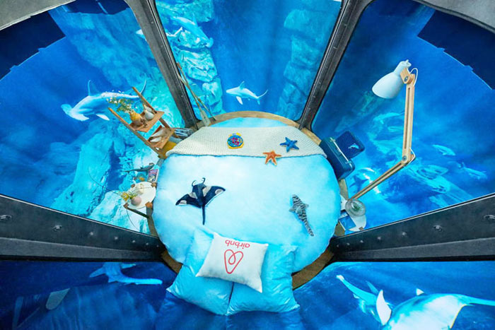 02-airbnb-leva-voce-para-se-hospedar-em-quarto-de-vidro-no-aquario-de-paris