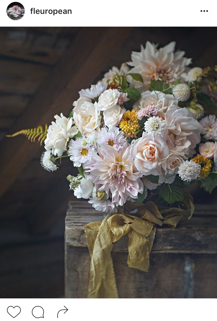 02-perfis-do-instagram-que-amam-flores-plantas-para-voce-seguir