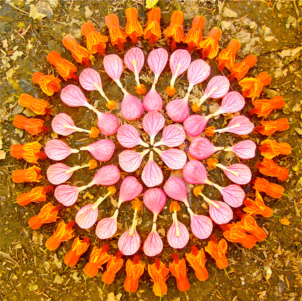 Artista cria lindas mandalas com flores