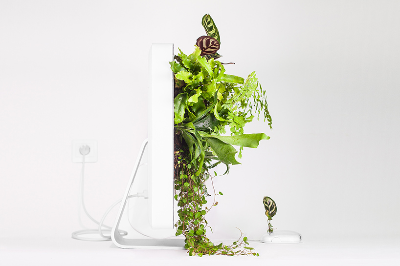 03-artista-transforma-computadores-antigos-vasos-plantas-exoticas
