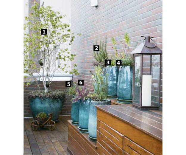 03-microjardins-para-espacos-pequenos