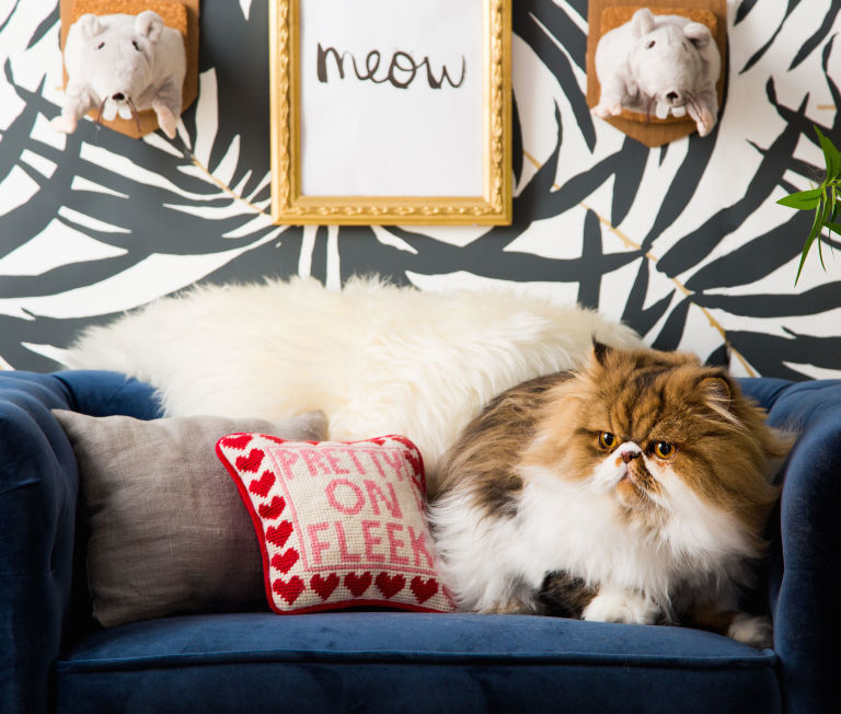 03-cantinho-gato-mais-luxuoso-que-seu-quarto