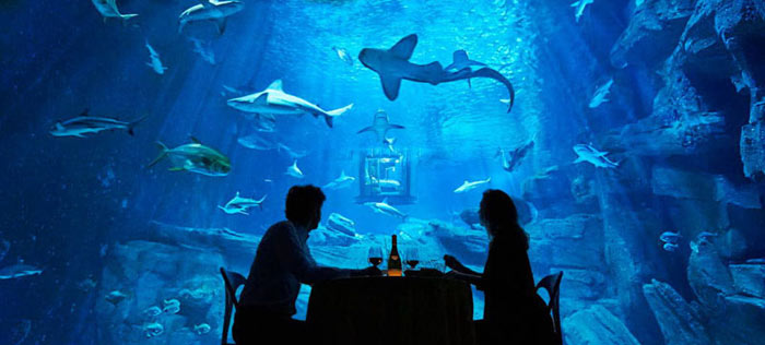 04-airbnb-leva-voce-para-se-hospedar-em-quarto-de-vidro-no-aquario-de-paris