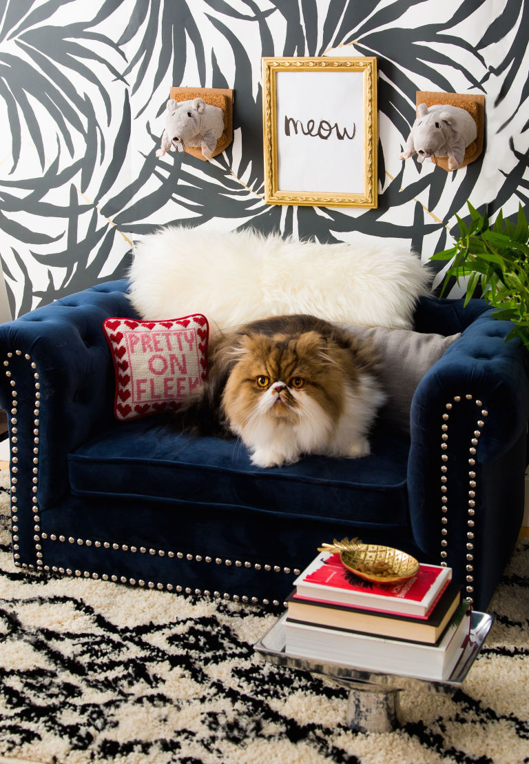 04-cantinho-gato-mais-luxuoso-que-seu-quarto