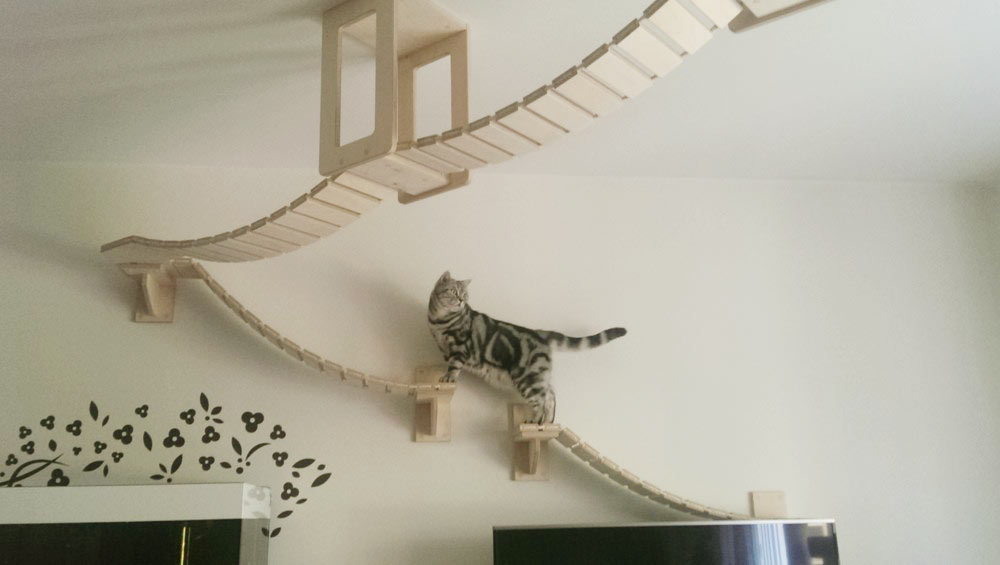 05-casa-onde-seu-gato-precisa-e-merece-morar