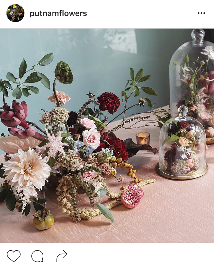 05-perfis-do-instagram-que-amam-flores-plantas-para-voce-seguir