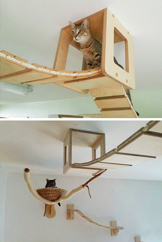 06-boas-ideias-de-espacos-em-casa-para-seus-gatos-brincarem