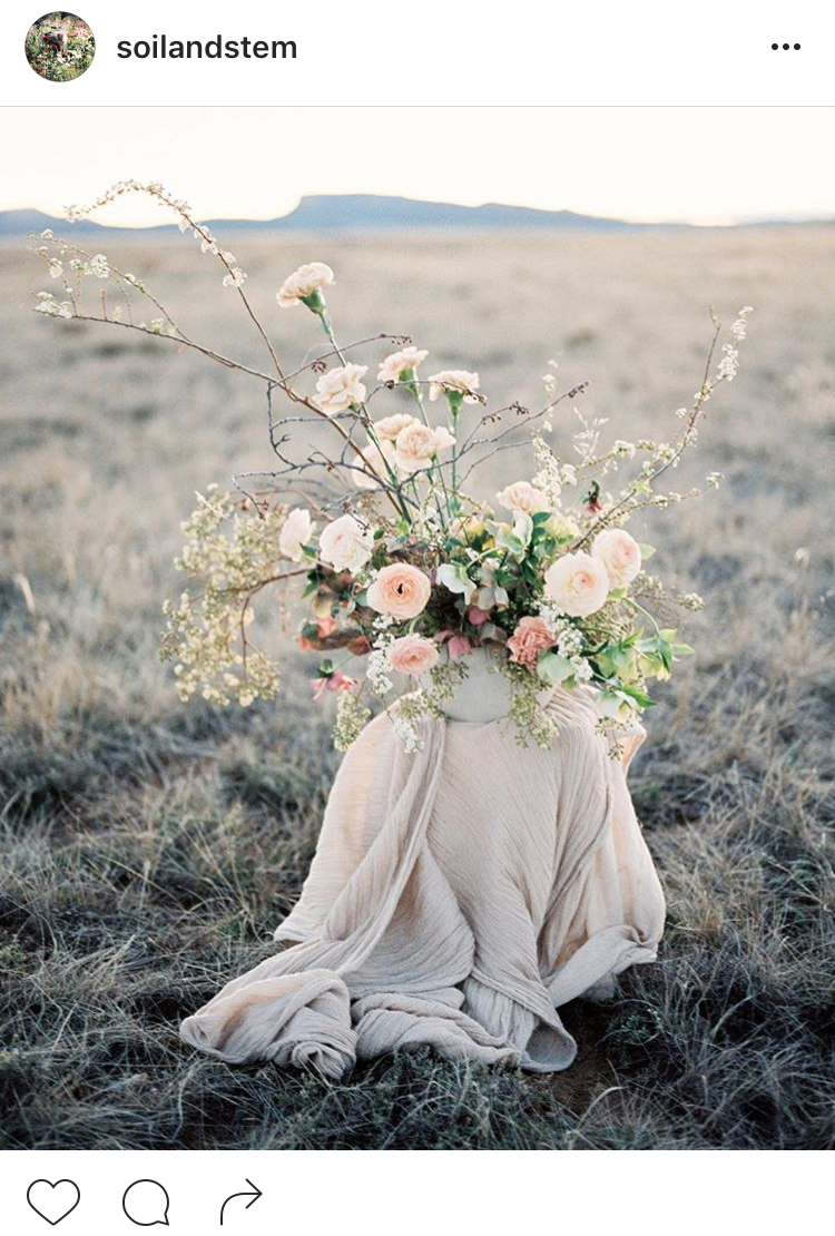 06-perfis-do-instagram-que-amam-flores-plantas-para-voce-seguir