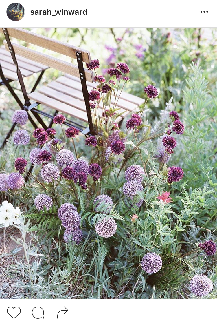 07-perfis-do-instagram-que-amam-flores-plantas-para-voce-seguir
