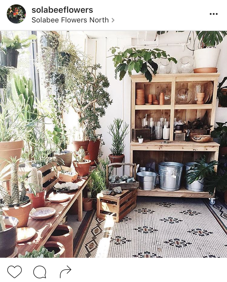 08-perfis-do-instagram-que-amam-flores-plantas-para-voce-seguir