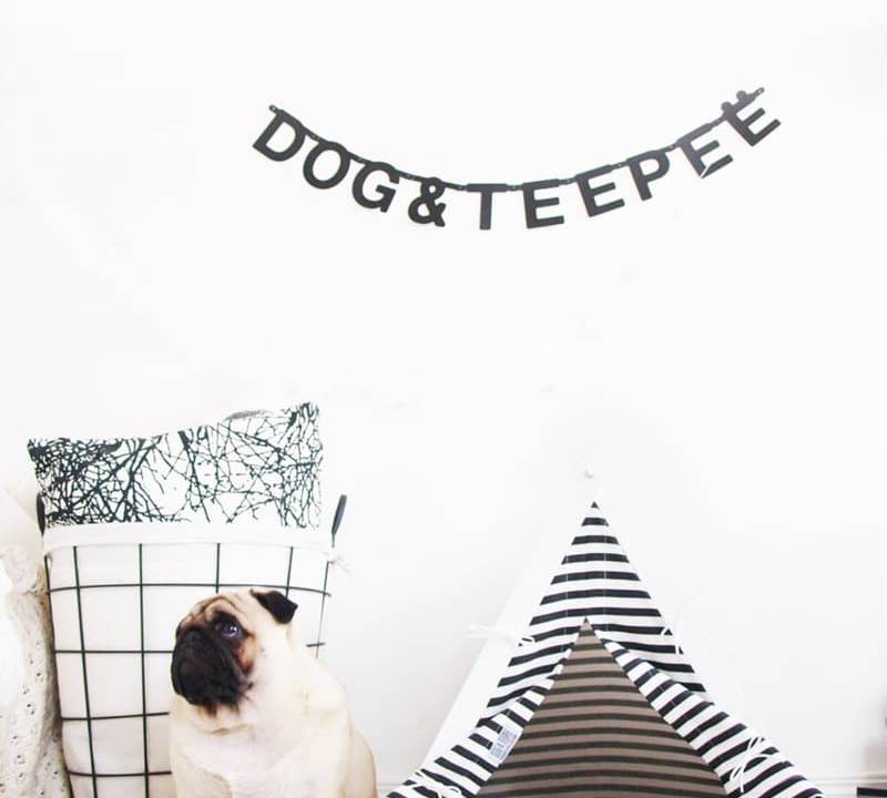 1-casinhas-para-pets