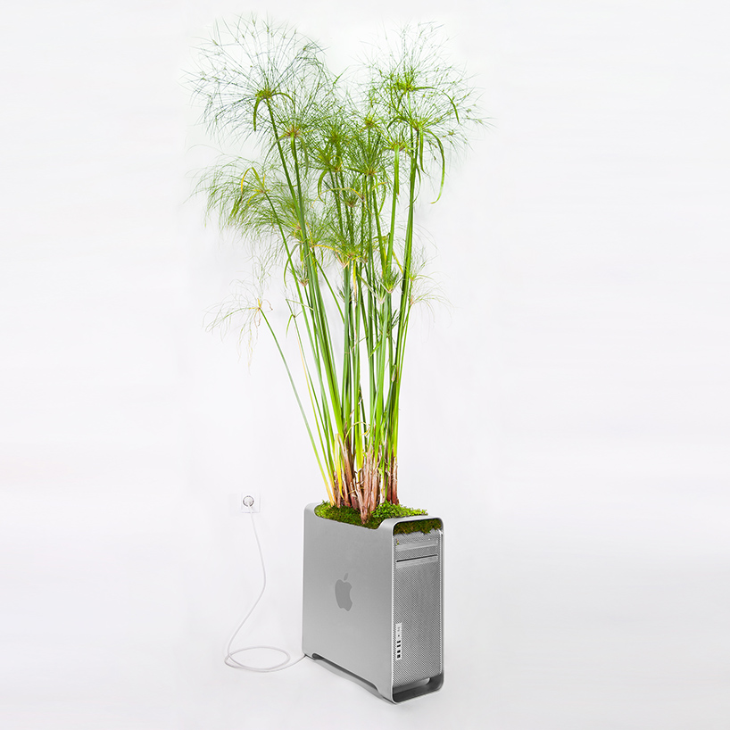 10-artista-transforma-computadores-antigos-vasos-plantas-exoticas