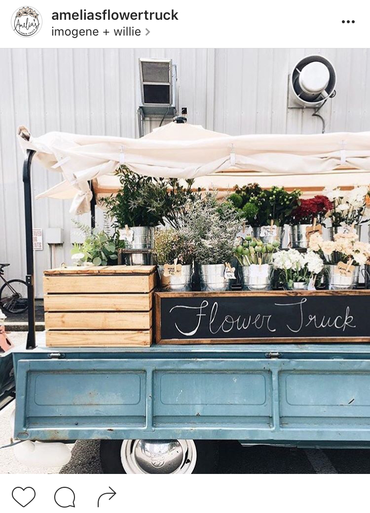 10-perfis-do-instagram-que-amam-flores-plantas-para-voce-seguir