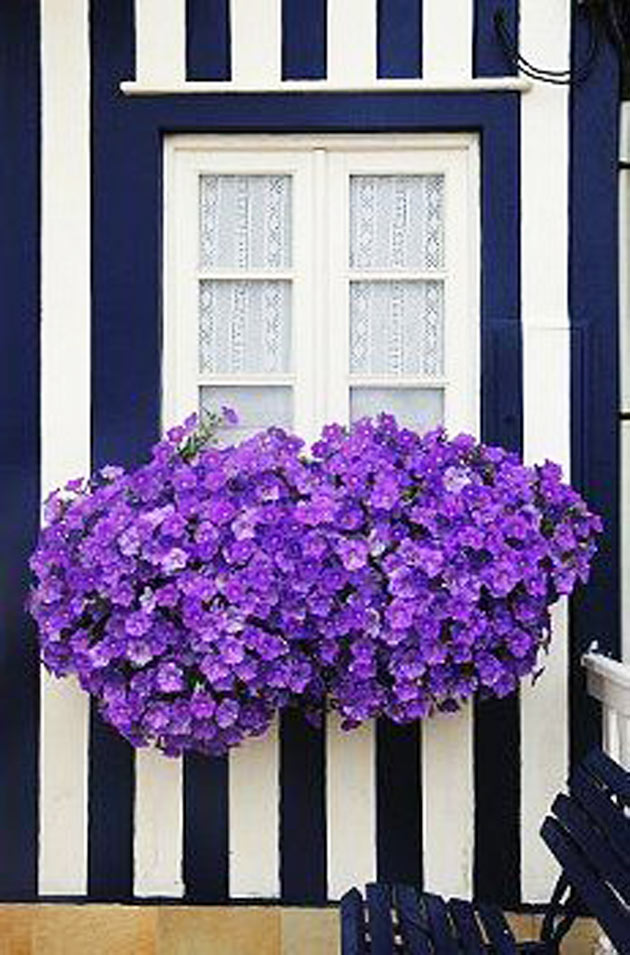 12-motivos-para-usar-listras-na-decoracao-e-arrasar
