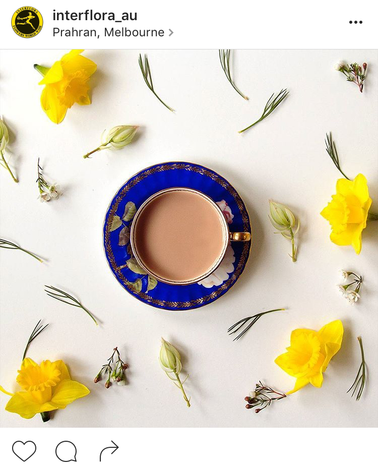 16-perfis-do-instagram-que-amam-flores-plantas-para-voce-seguir