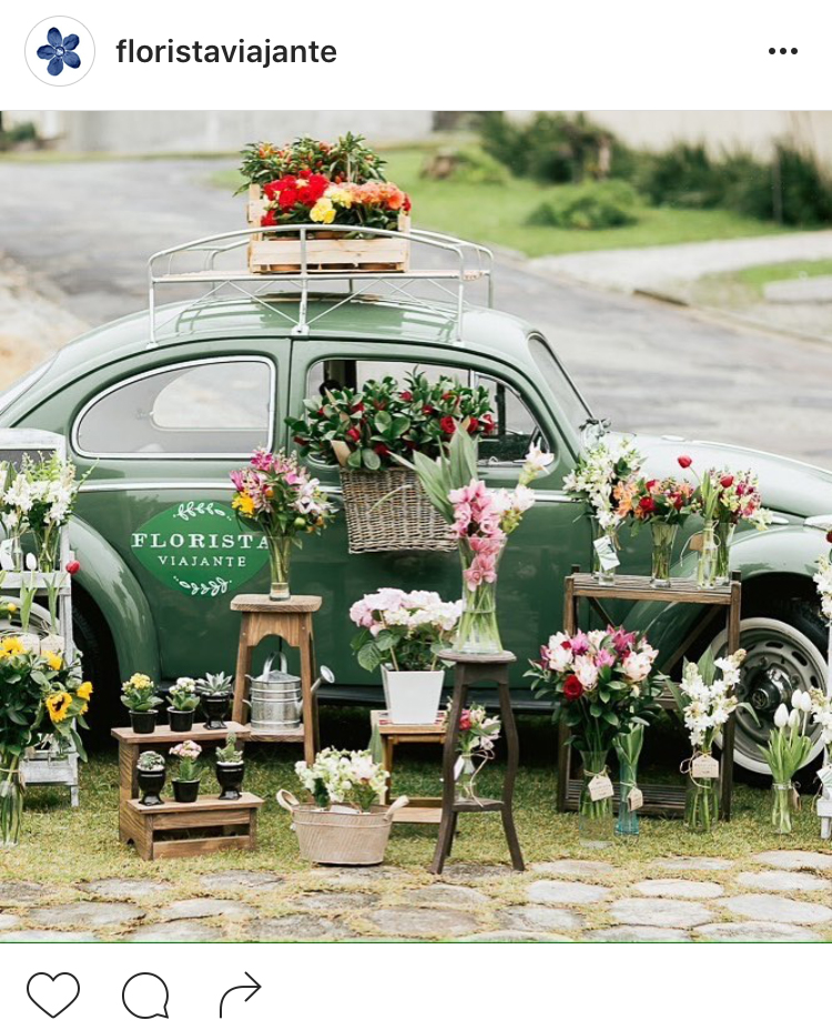 18-perfis-do-instagram-que-amam-flores-plantas-para-voce-seguir
