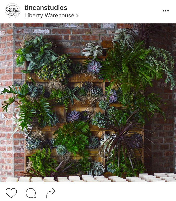 19-perfis-do-instagram-que-amam-flores-plantas-para-voce-seguir