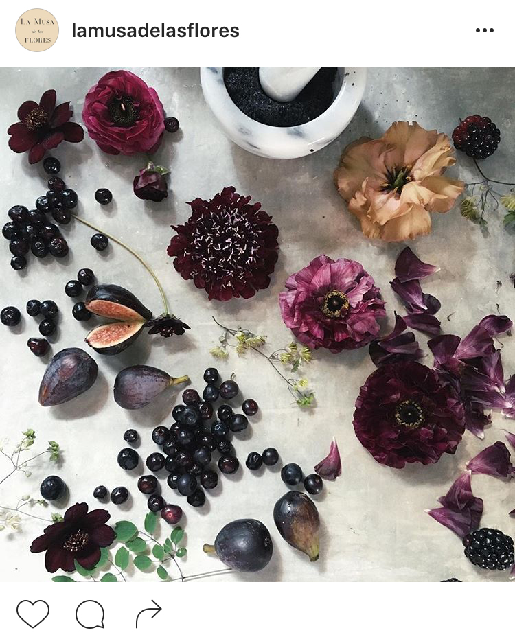 20-perfis-do-instagram-que-amam-flores-plantas-para-voce-seguir