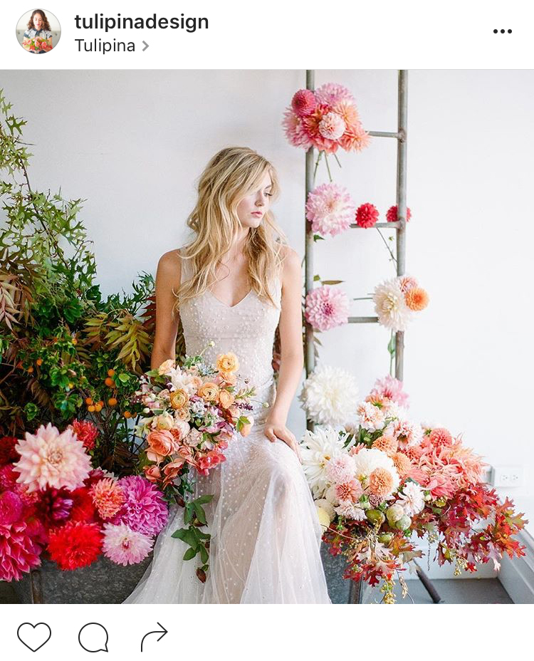 21-perfis-do-instagram-que-amam-flores-plantas-para-voce-seguir