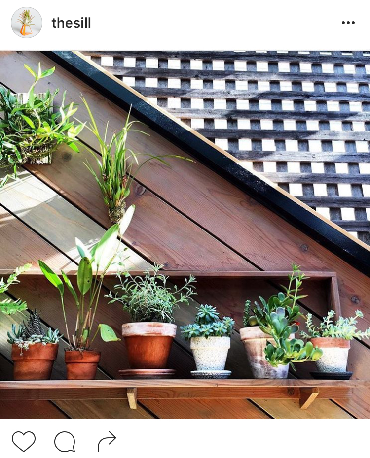 23-perfis-do-instagram-que-amam-flores-plantas-para-voce-seguir