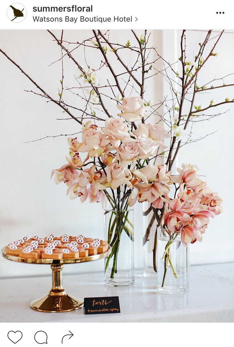 26-perfis-do-instagram-que-amam-flores-plantas-para-voce-seguir