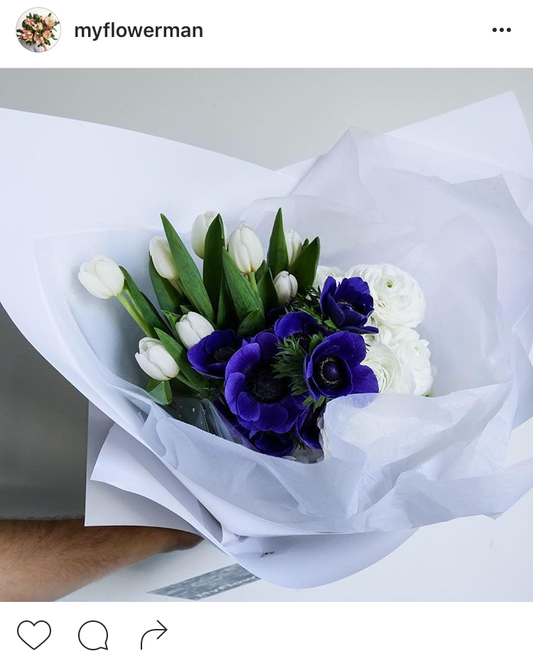 27-perfis-do-instagram-que-amam-flores-plantas-para-voce-seguir