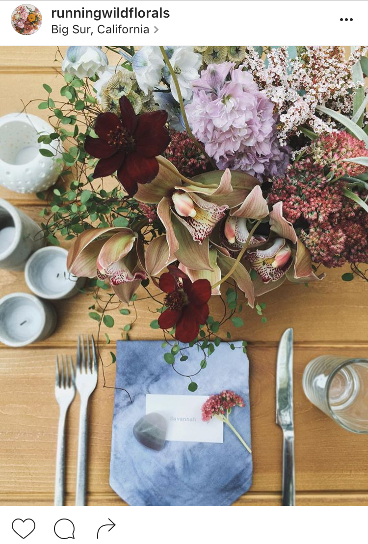 28-perfis-do-instagram-que-amam-flores-plantas-para-voce-seguir