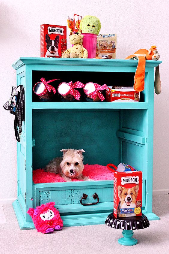 5-casinhas-para-pets