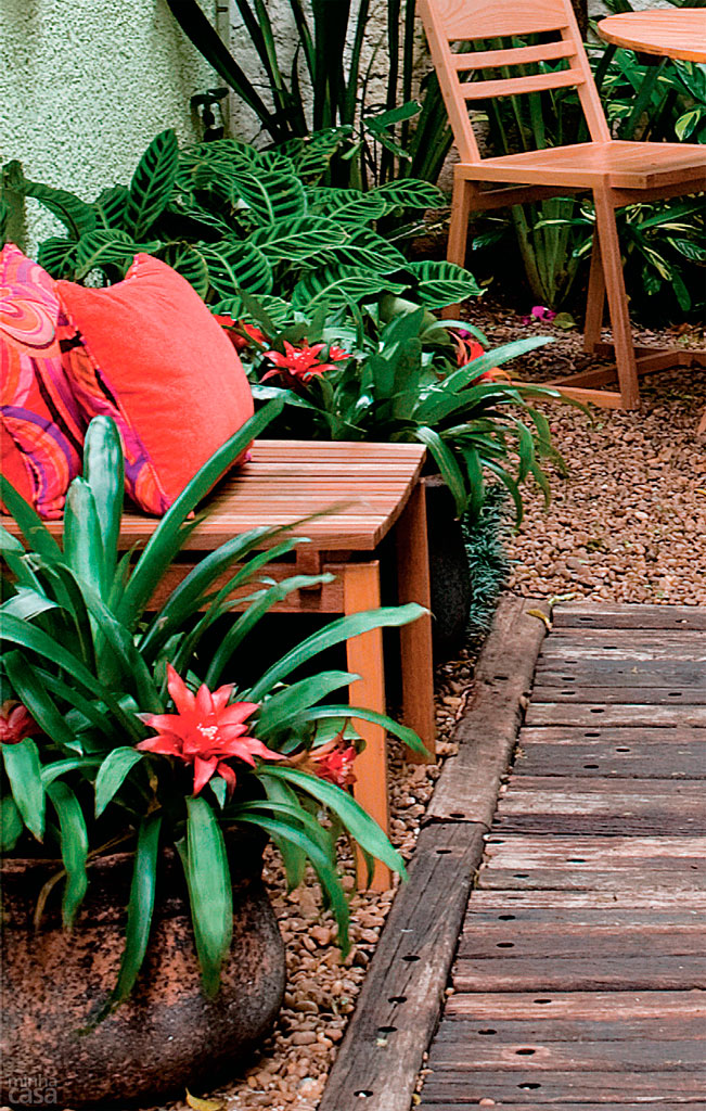 abre-como-proteger-as-bromelias-do-frio