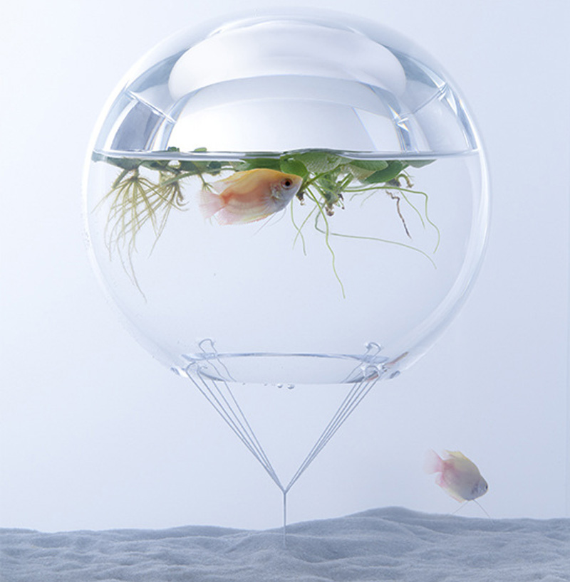 aquario-de-ponta-cabeca-permite-o-cultivo-de-plantas-aquaticas03