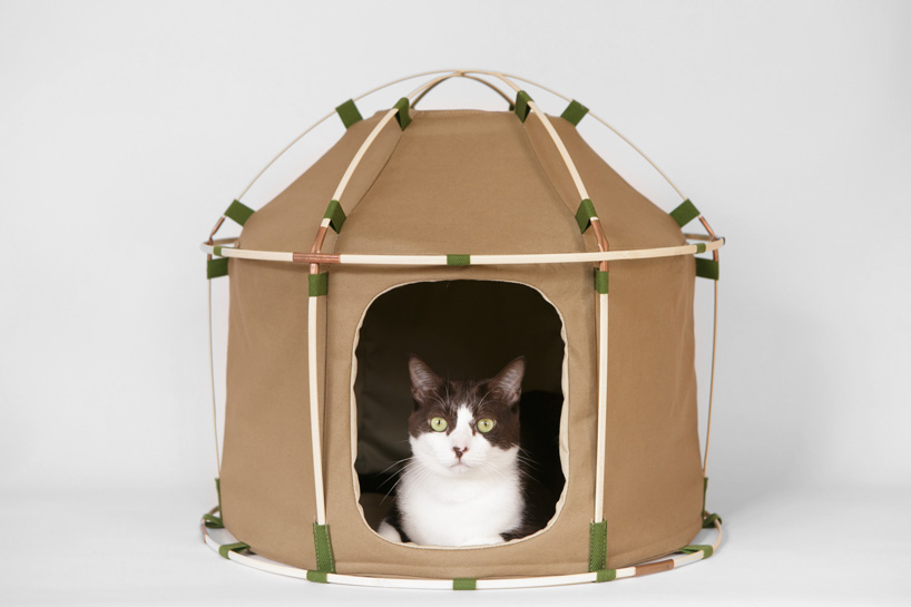 casinha para pets 1