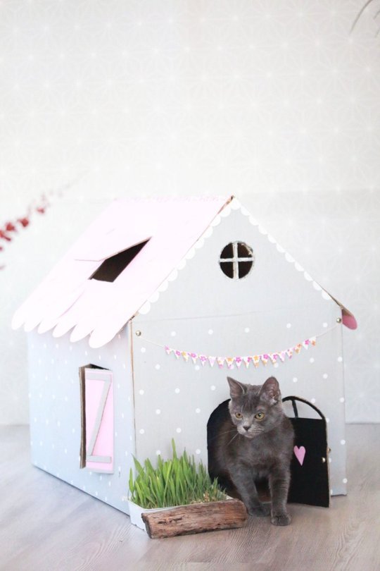Casinha para pets 4