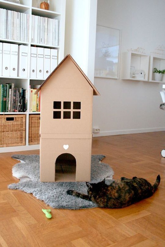 Casinha para pets 5