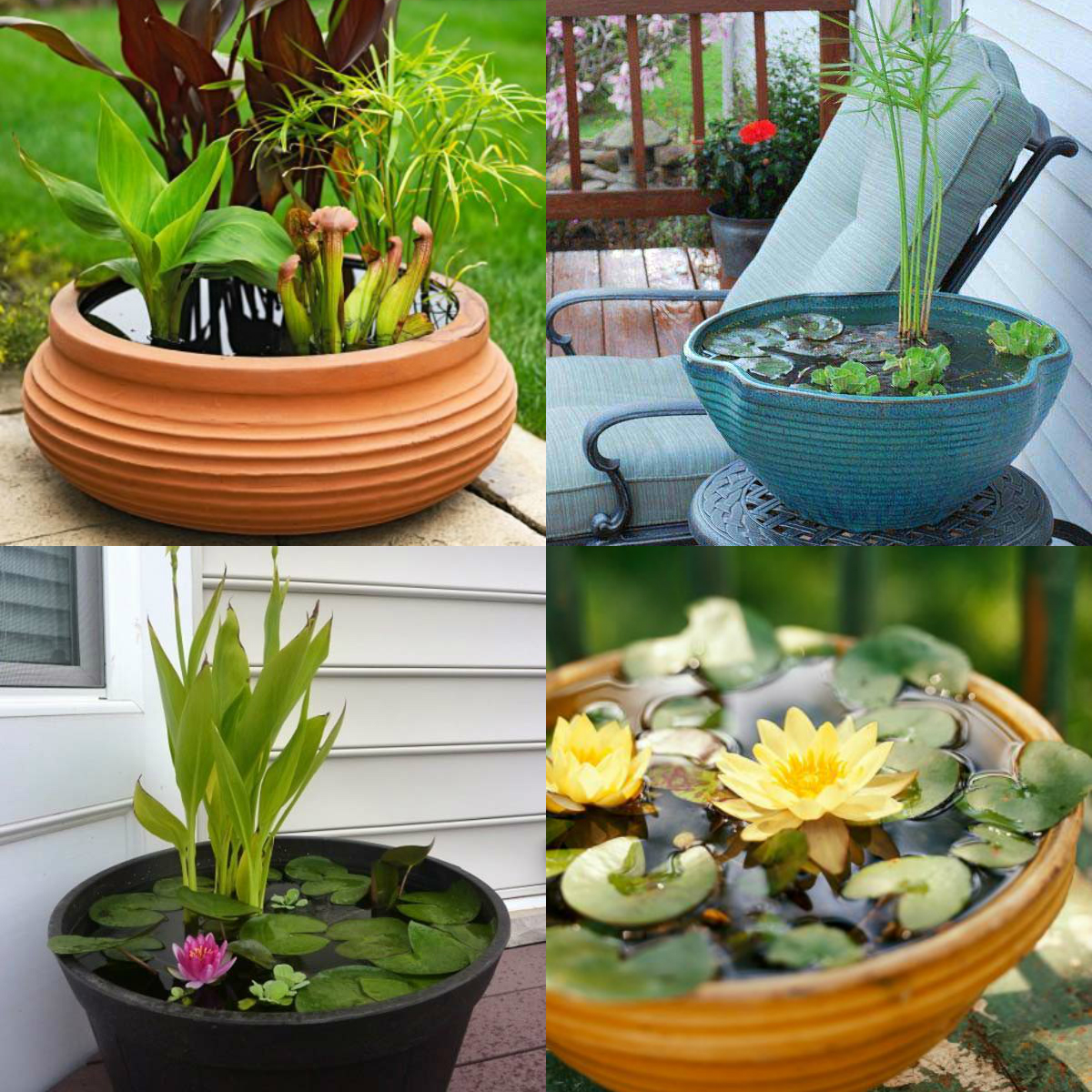 colagem-de-mini-jardins-em-lago