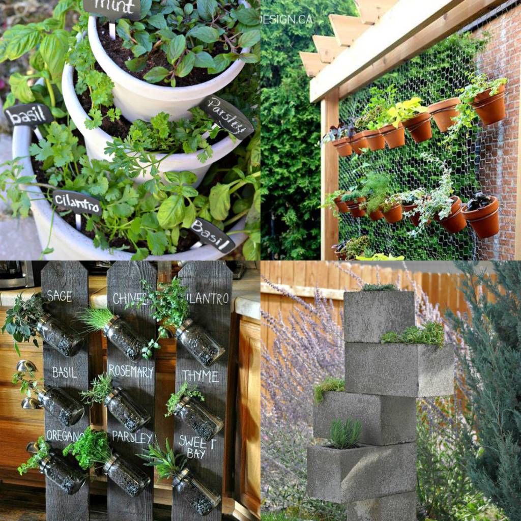 4 jardins em miniatura estilosos para ter em casa