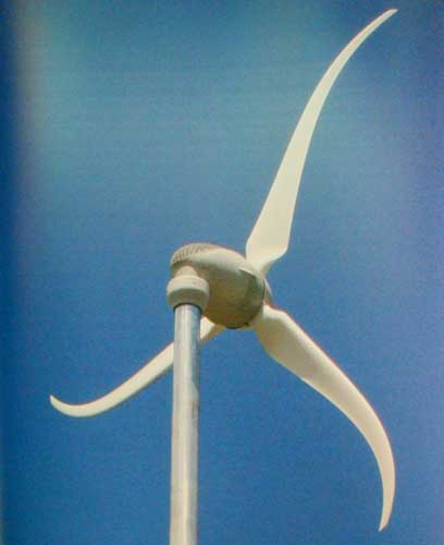 Um t&iacute;tulo para uma foto sem titulo