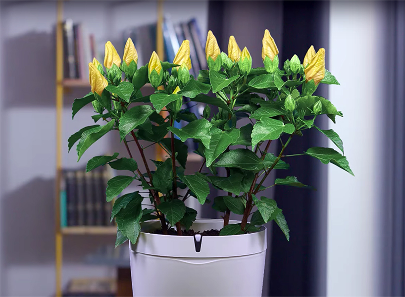 parrot-pot-vaso-inteligente-designboom 1