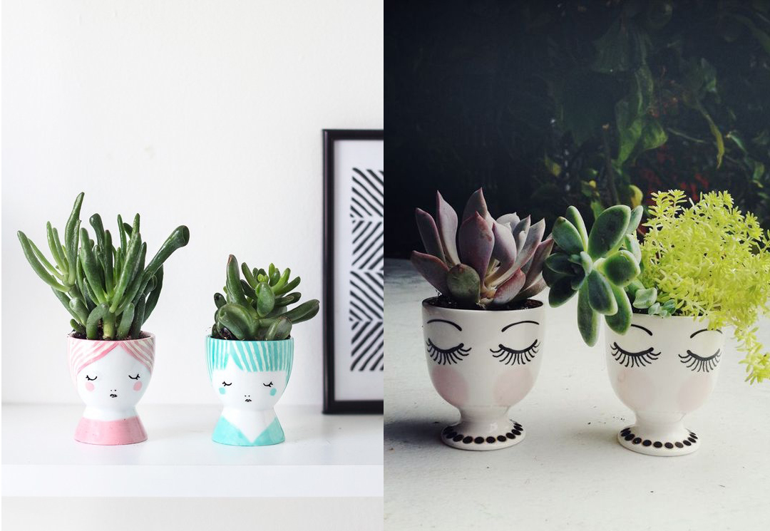 suculentas-em-porta-ovos Sugar and Cloth e Pinterest