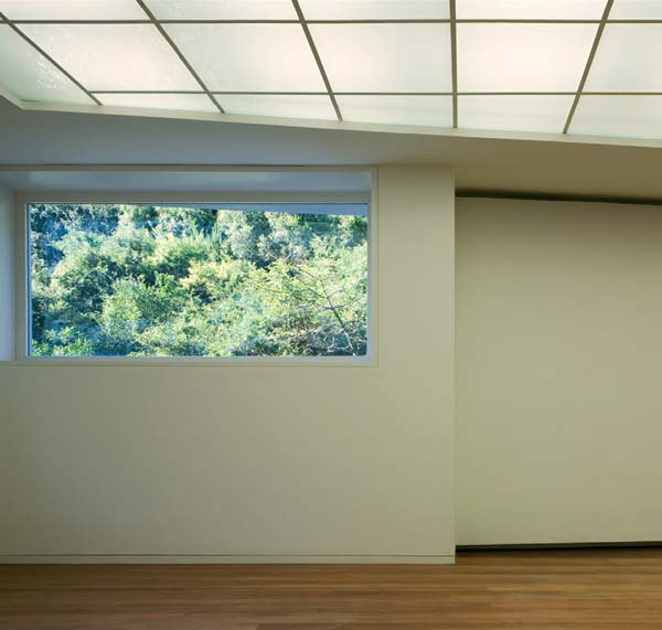 A &uacute;nica sala de exposi&ccedil;&atilde;o com vista  no caso, para os 2 hectares de mata...