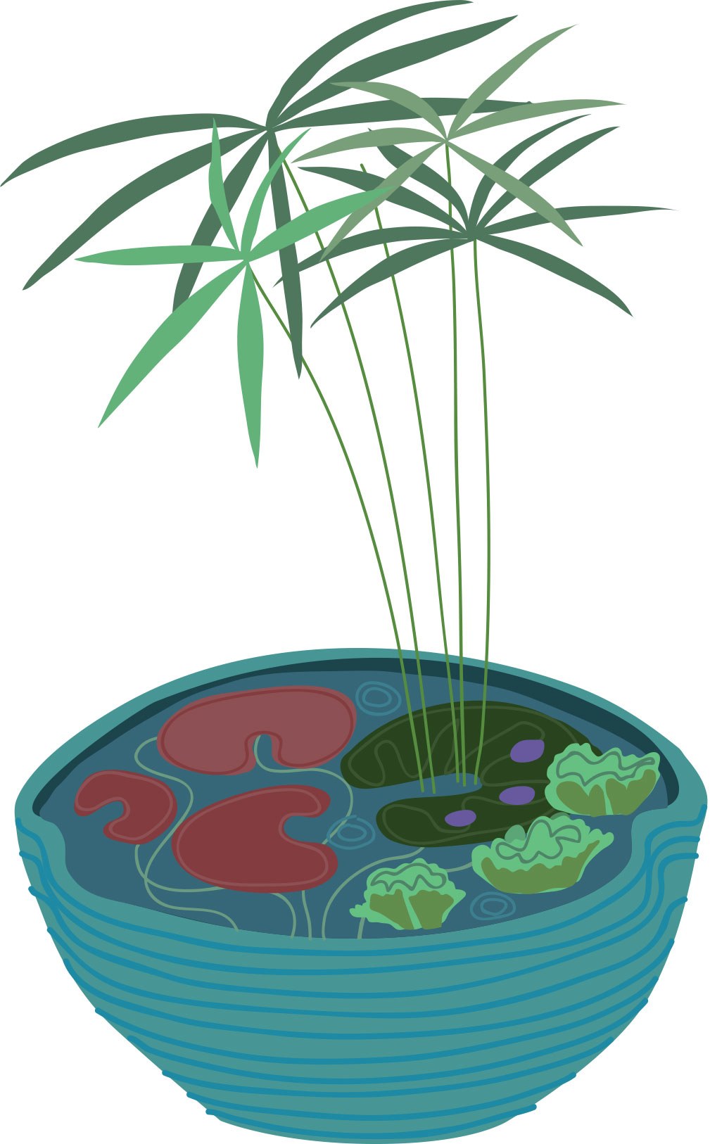 vaso-com-lago-em-casa-ilustracao-do-livro