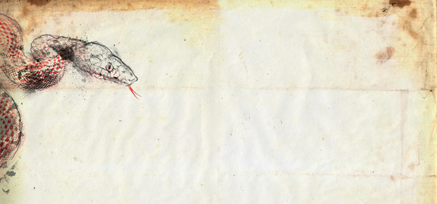 Previsões para 2013 no horóscopo chinês