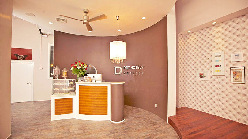 02-hotel-para-cachorros-5-estrelas