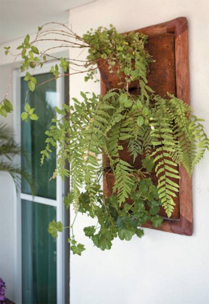 Para montar este jardim vertical, bastou uma placa de fibra de coco em um requadro de madeira. além de samambaia (nephrolepis polypodium), os vasinhos receberam mudas de flores que, em breve, levarão cor à varanda: brincos-de-princesa rosa e lilás (fuchsia corymbiflora) e gerânios vermelhos (pelargonium hortorum).