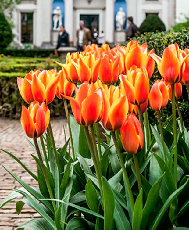 04-jardins-particulares-holandeses-abertos-a-visitacao