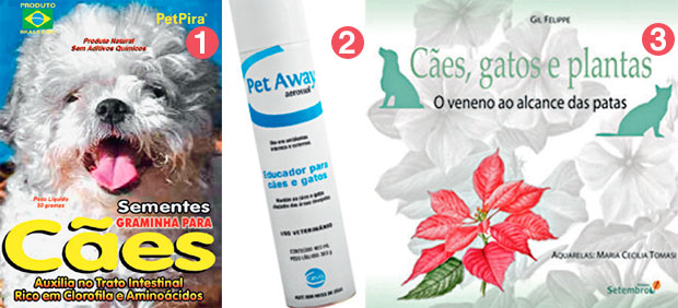 07-jardim-bom-para-cachorro-e-para-gato